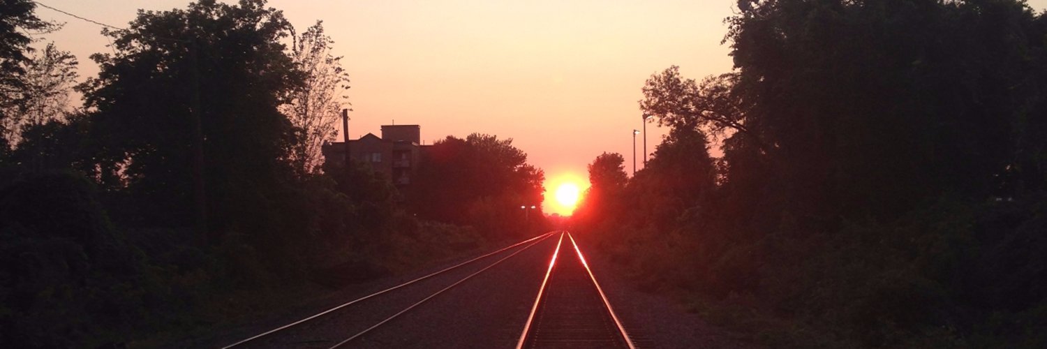 Sunset reflected on train tracks surrounded by trees